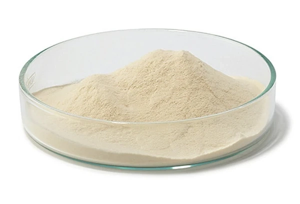 Global Casein Peptone Market is Expected to Grow at a CAGR of 4%