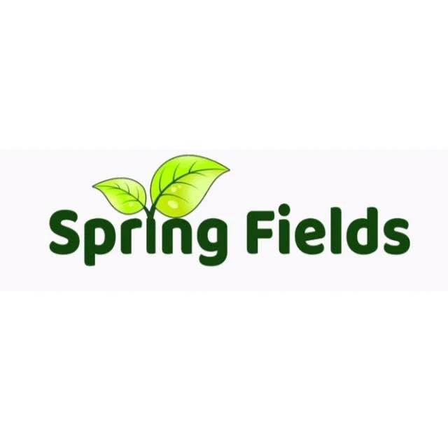 Best preschool in Abu Dhabi - Spring Fields