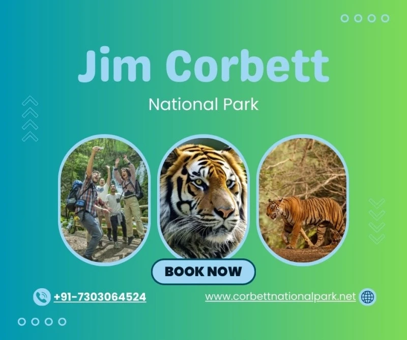 Dhikala Safari Booking – Complete Guide to Explore Corbett’s Most Popular Zone