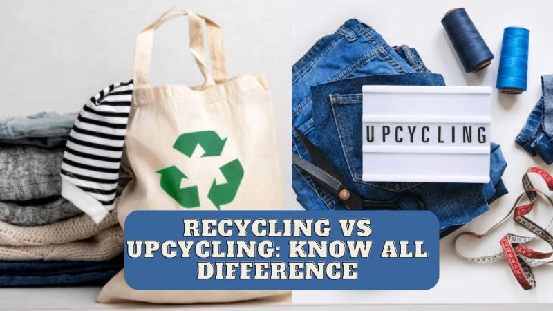 The Pros and Cons of Upcycling Vs. Recycling — Which is Better for the Environment?