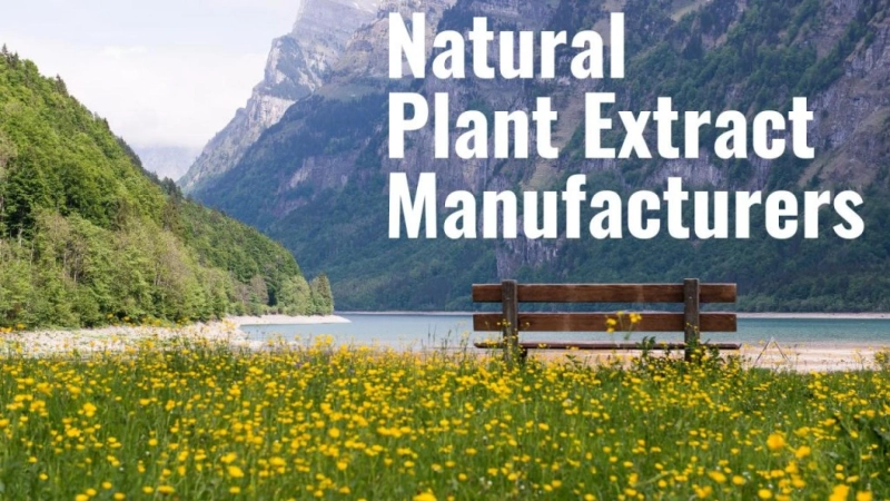 How to Find Natural Plant Extract Manufacturers