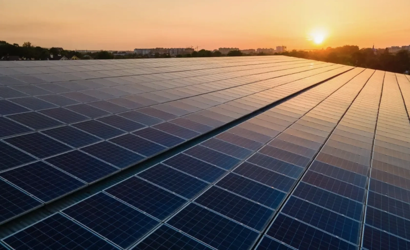 How Are Top Solar Panel Companies Shaping the Global Energy Landscape?