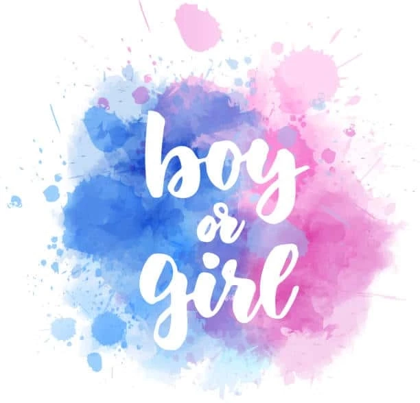 Gender Reveal Ideas to Amaze Your Big Family!