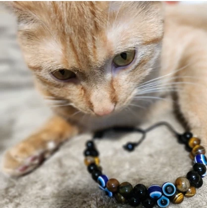 tiger eye bracelet men