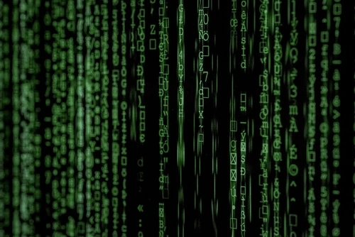 What is Data Science? A Comprehensive Guide for Businesses