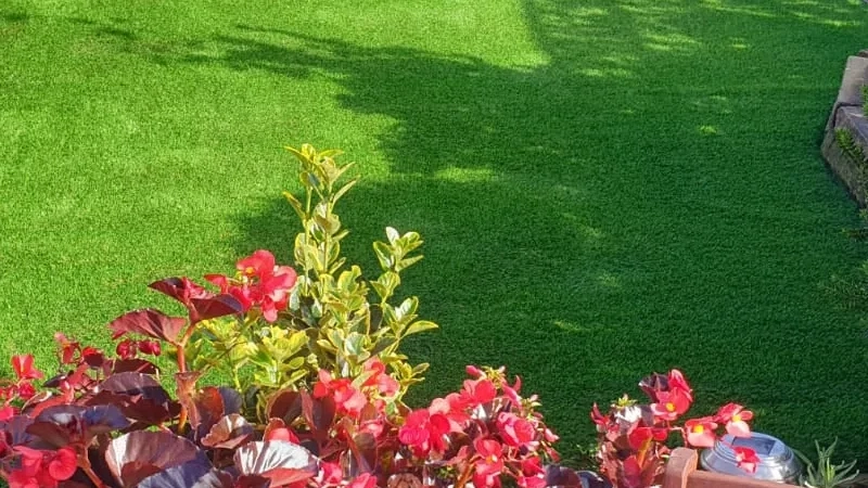 Is Artificial Grass Expensive? A Real Look at Artificial Grass Costs