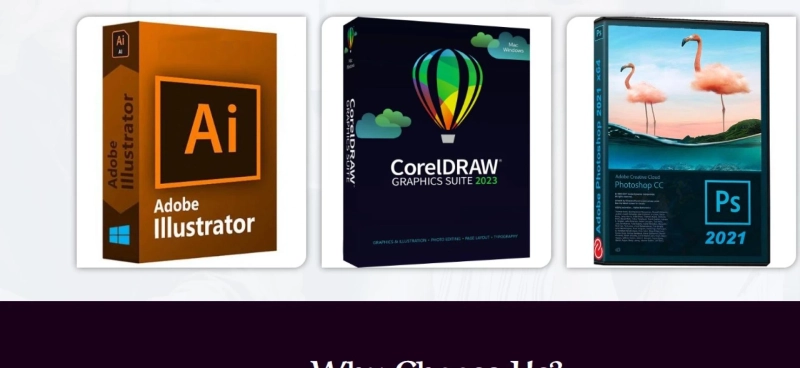 A Guide To Professional Logo Development