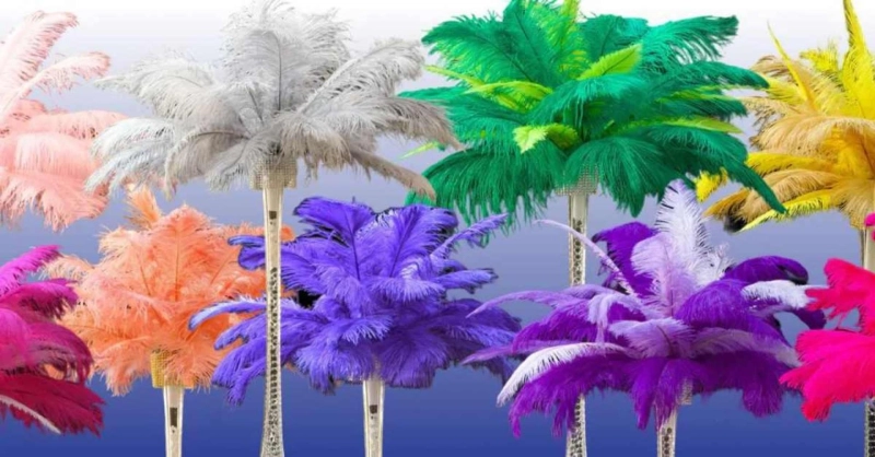 Ostrich Feathers and Centerpieces: Cultural Significance, History, and Use in Decor
