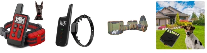 Pet Essentials That Truly Care for Your Furry Friend