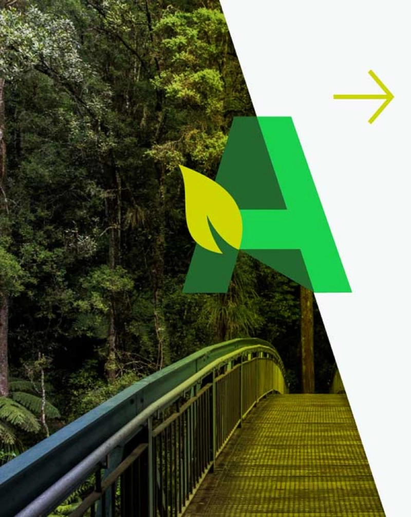 Tree Report Auckland