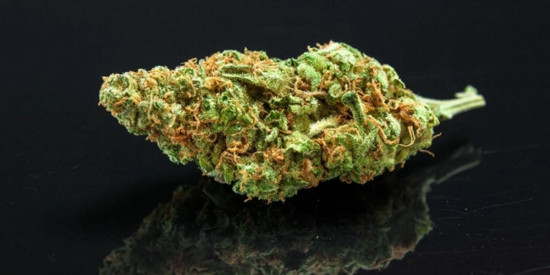Try Insanely Delicious Weed Strains & Best Bud Delivery in Alliston