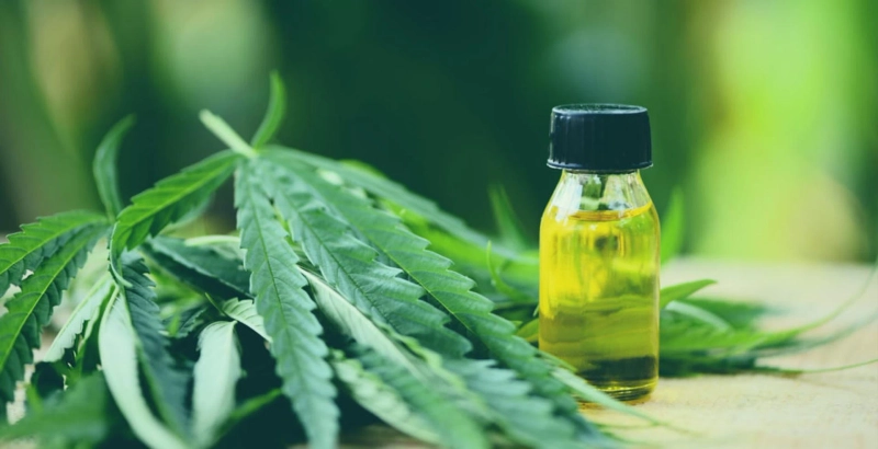 What Makes Plant-Based Pain Relief Different from Conventional Options?