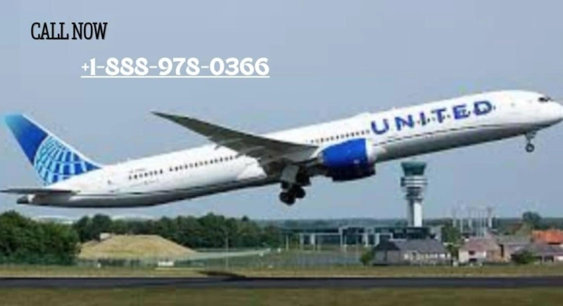What are the best seats in KLM economy?