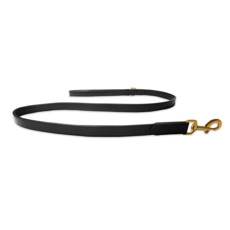 Leather Leashes: A Timeless Choice for Comfort, Control, and Style