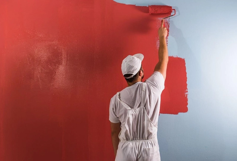 The Art of Patience: A Handbook on the Waiting Period Between Paint Coats