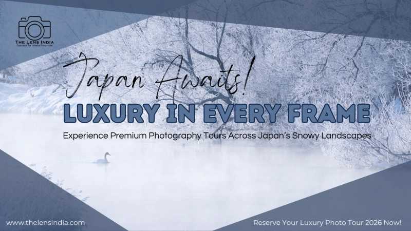  Luxury Photography Tours in Japan: Wildlife, Snow, and Stunning Frames  