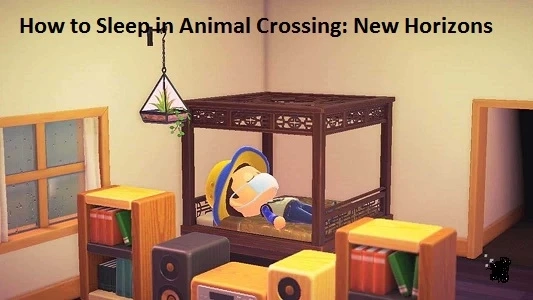 How to Sleep in Animal Crossing: New Horizons