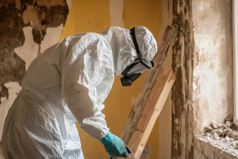 The Cost of Asbestos Removal Services: What Factors Affect Pricing and What to Expect