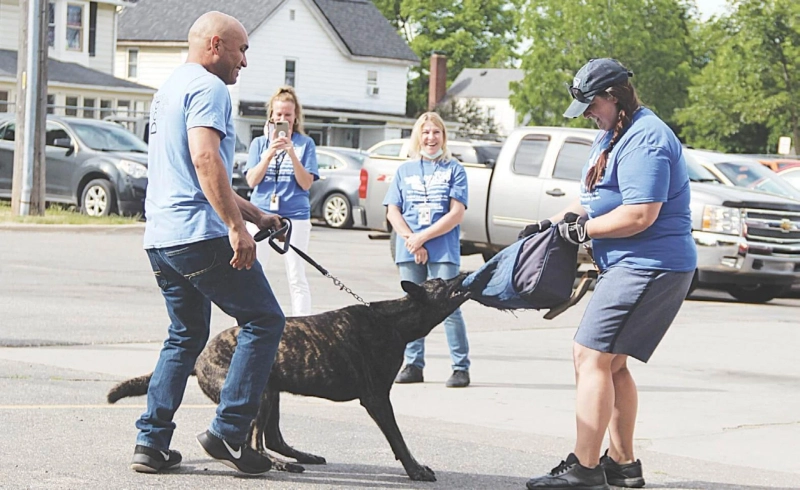 Comprehensive Guide to Dog Bite Prevention