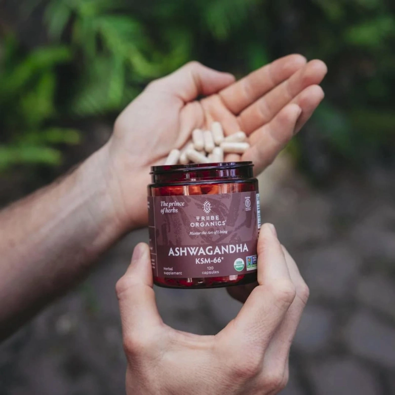 How Ashwagandha KSM-66 Supports Mood, Strength, and Sleep