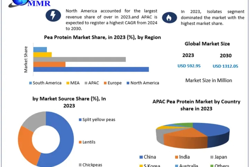 Pea Protein Market Metrics Marvels: Size, Share, Revenue, and Worth Statistics | 2024-2030