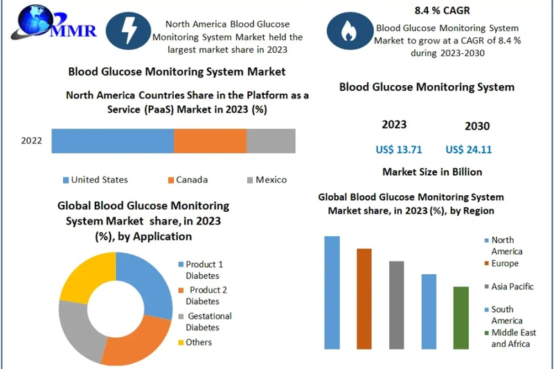 Blood Glucose Monitoring System Market Resilience Overdrive: Strategies for Thriving in the Next Wave of Business Evolution | 2024-2030