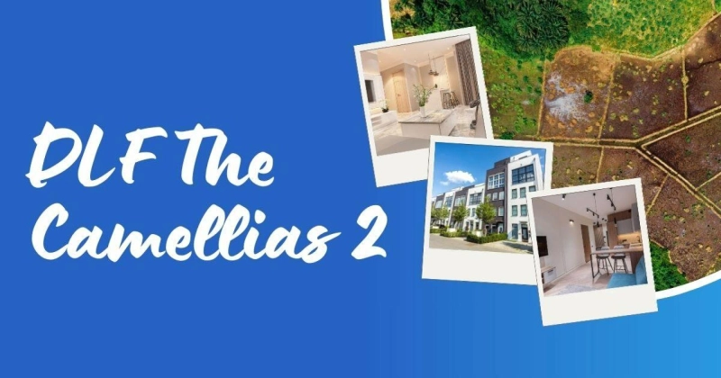Elevate Your Lifestyle: DLF The Camellias 2, Sector 42