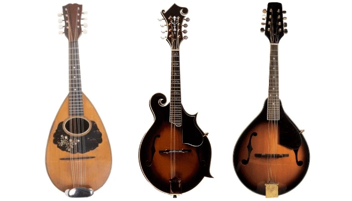 Beginner What You Should Know About The Mandolin