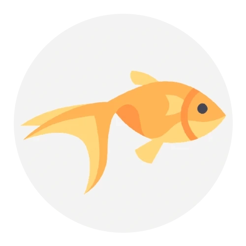 “Fishwaale”, Another Example Of Modernization With Innovation