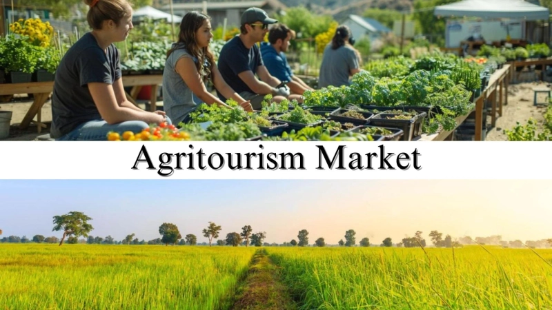 Draft: My PostAgritourism Market Historical Analysis, Trends, Growth Factors, and Opportunities by 2032 Title