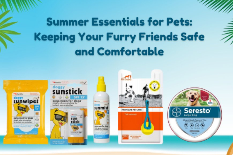 Summer Essentials for Pets: Keeping Your Furry Friends Safe and Comfortable - canadavetexpress