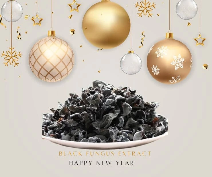 A Brief Details One Must Have On Black Fungus Extract