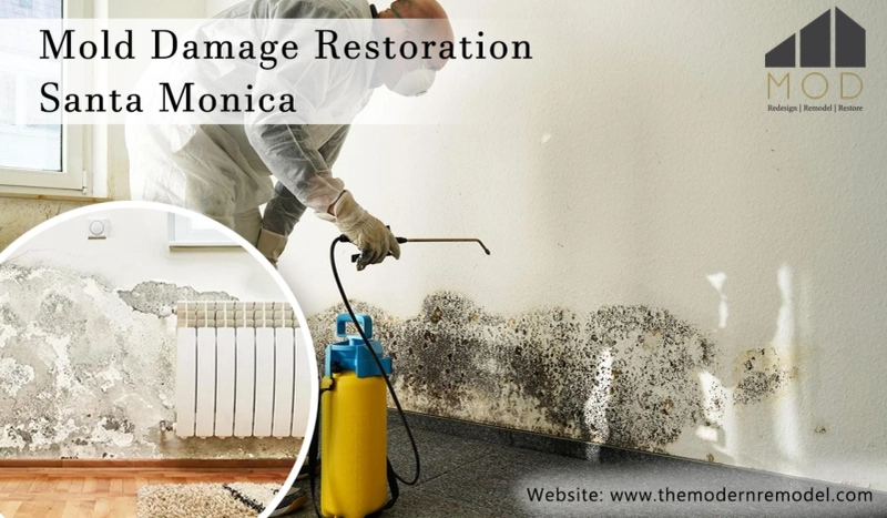 Four Techniques Of Mold Damage Restoration Santa Monica