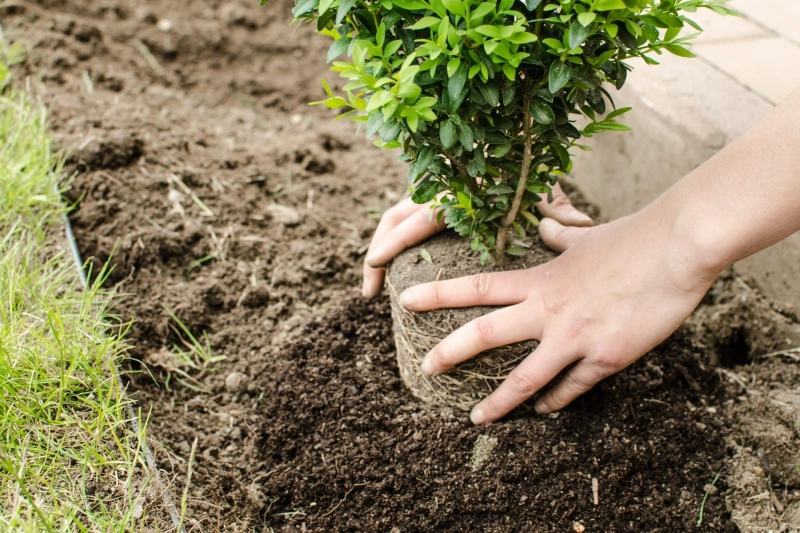 Seasonal Landscaping Tasks Skilled Landscapers Recommend