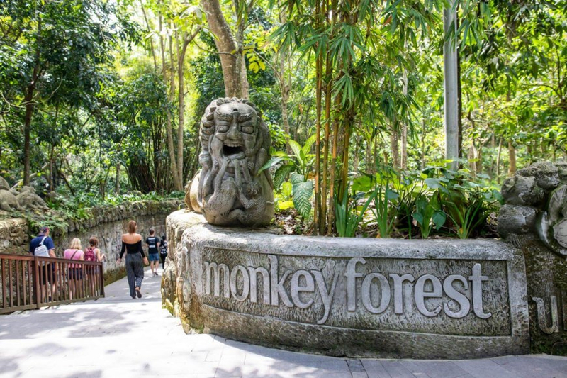 Top 10 Bali Adventures You Can't Miss - BookTrip4u