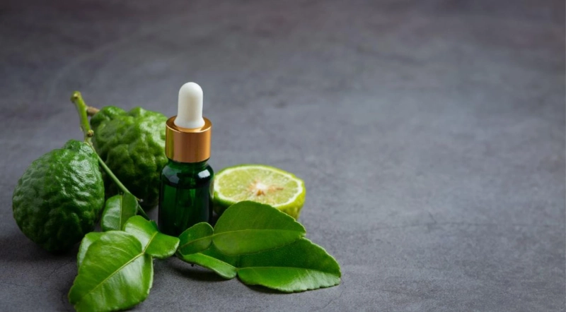 Bergamot oil uses and health Benefits