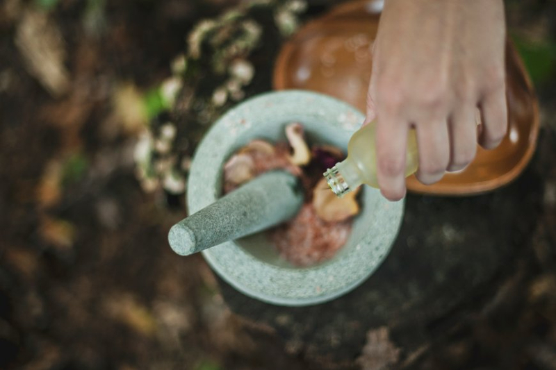 Using CBD Oil for Pets: Does it Really Work?