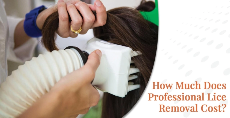 How Much Does Professional Lice Removal Cost?