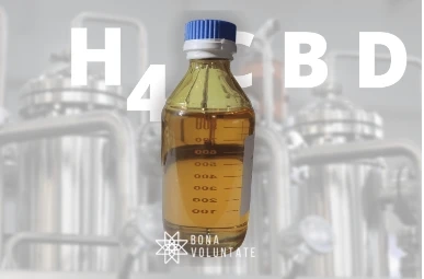 How To Pick A Hydrogenated CBD Wholesale | Bona Voluntate