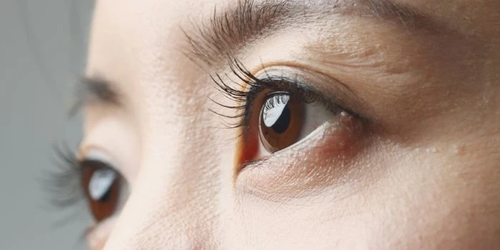 Best Eye Care Tips for Students and Working Professionals