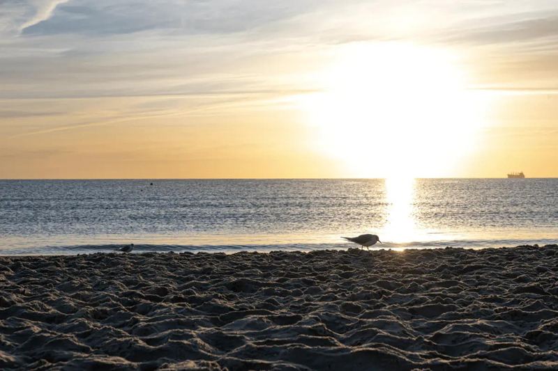 A Complete Guide to Sunshine, Seasons, and Mediterranean Comfort