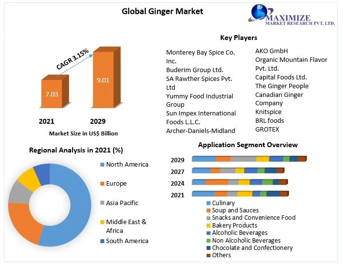 Ginger Market Business Developing Strategies, Growth Key Factors, and Forecast 2029