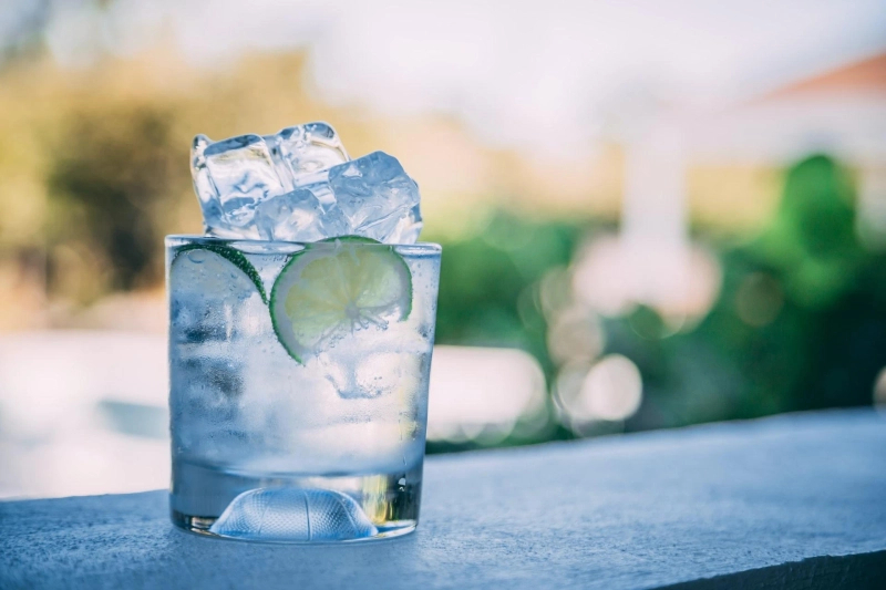 Why Is Craft Gin Preferred Neat, And Without Any Mixer?