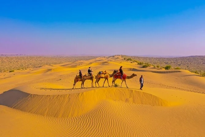 Discover Desert Beauty Through a Camel Ride Experience