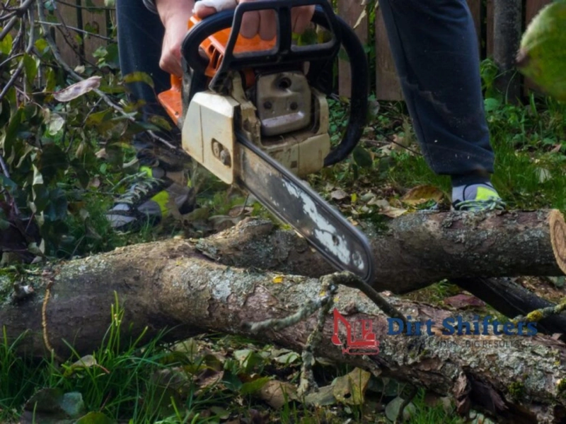 Why Professional Stump Grinding St Albans Makes Life Easier for Homeowners