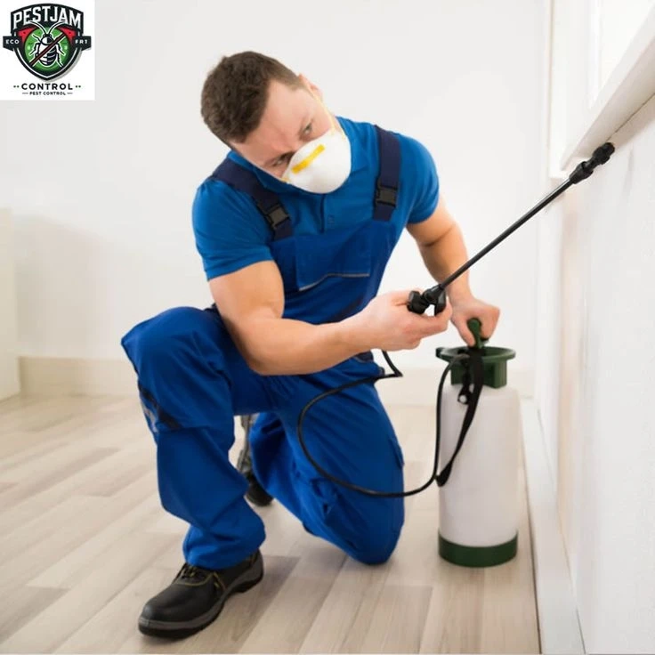 The Comprehensive Guide to Pest Control Kitchener