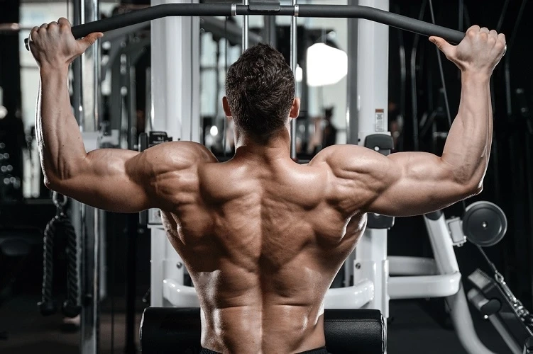 Ultima-Bold 500 for Sale Enhances Performance and Muscle Growth