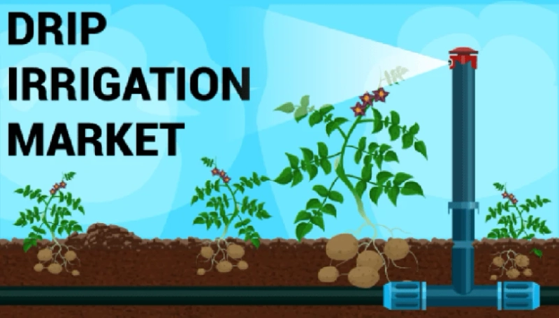 Drip Irrigation Market Growth & Driver Analysis | Industry Forecast to 2026