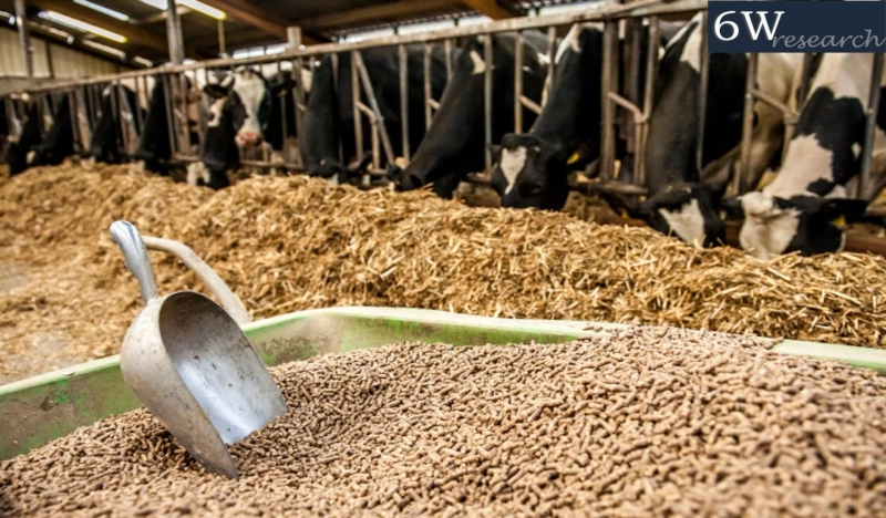 Oman Animal Feed Market (2024-2030) | 6wresearch