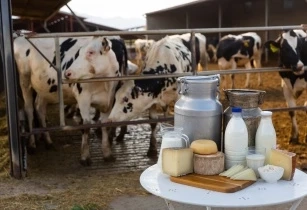 Top 6 Dairy Companies in Global Industry | IMARC Group